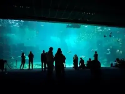 Frankrijk 2025 Zee Aquarium